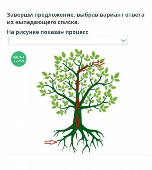 Заверши предложение, выбрав вариант ответа из выпадающего списка. На рисунке показан процесс​