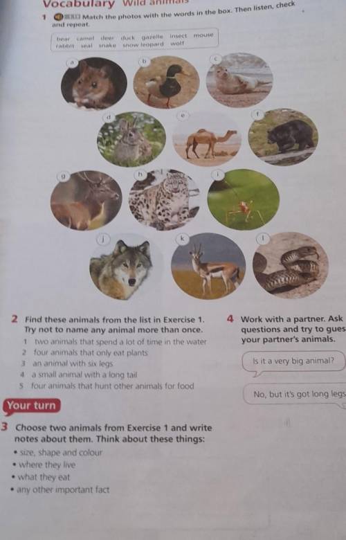 Choose two animals from exercise 1 and write notes about thing about these things​