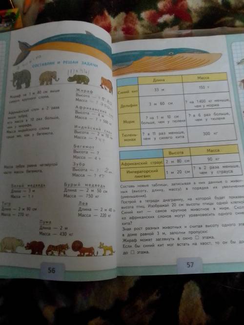 Какую задачу составить на странице 56-57
