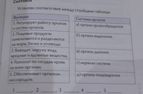 Функции Система органое1. Регулирует работу органовна жры, белки и углеводы.установи соответствие ме