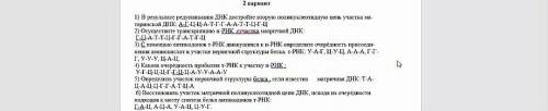 решить задачи! Очень нужно! Буду очень признателен! 1) В результате ДНК достройте вторую полинуклеот