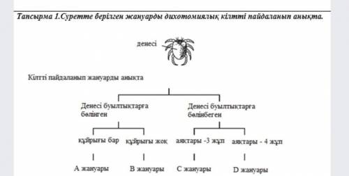 Суретте берілген жануарды дихотомиялық кілтті пайдаланып анықтакөмектесіндершіі​