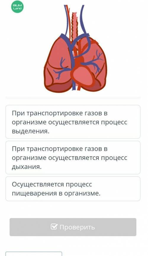 Определи значение данного органа в транспорте веществ​