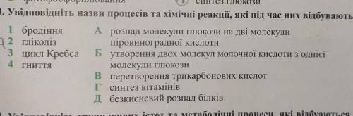 Увідповідніть назви процесів та хімічні реакції, які під час них відбуваються​