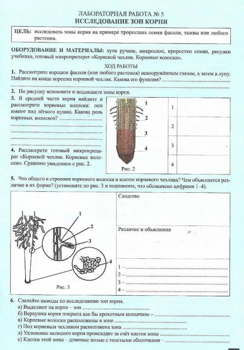 Лабораторная работа по биологии номер 5 исследование зон корня .