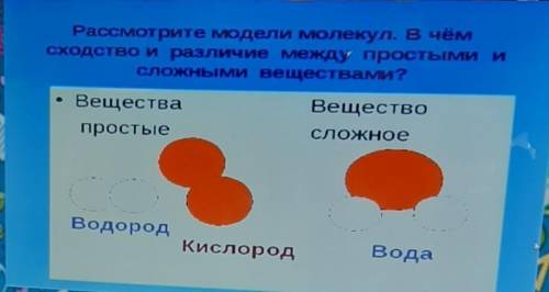 Рассмотрите модели молекул. Вчем сходство и различие между простыми исложными веществами?Веществапро