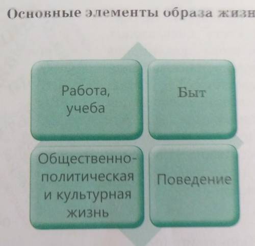 По картинке, записать, как вы понимаете основные элементы образа жизни​