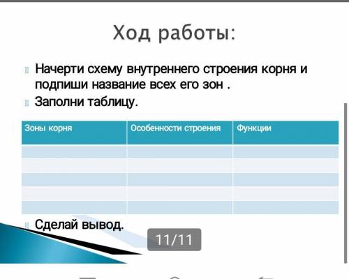 Начерти схему внутреннего строения корня и подпиши название всех его зон​