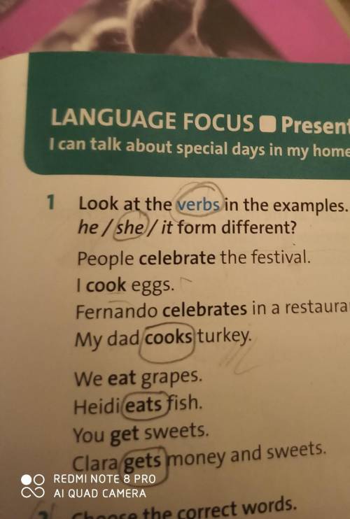 1 Look at the verbs in the examples. How is the he/she/it form different?People celebrate the festiv