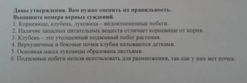 ￼￼даны утверждения. ￼￼ вам нужно ￼￼ оценить их правильность. выпишите верные утверждения