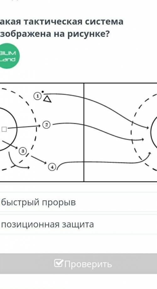 Какая тактическая система изображена на рисунке?​