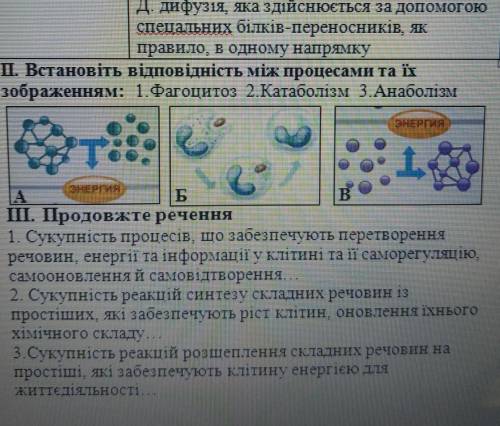 БЛАГАЮ ДО ТЬ ТЕРМІНОВО ІВ​