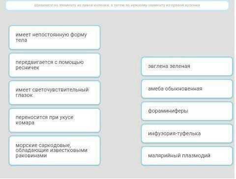 1.Орган передвижения инфузорий- 1.жгутики 2.ложноножки 3.мускульное волоконце 4.реснички2.Выберите т