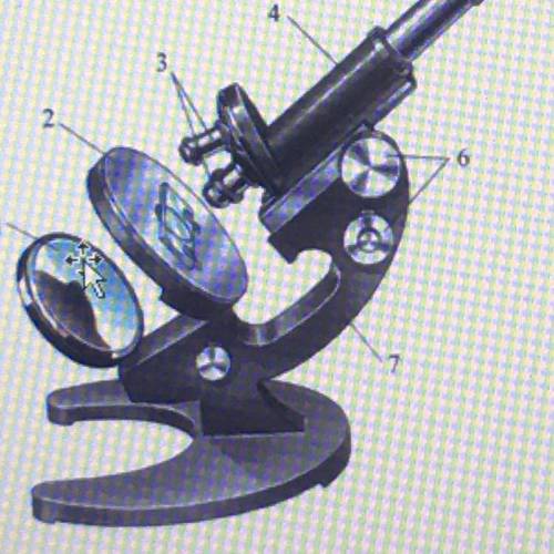 8. Рассмотрите изображение микроскопа из задания 3 и дайте ответ на вопрос. Какой цифров обозначен о