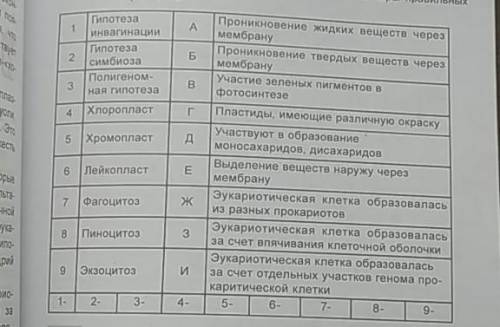 На основе приведенных данных укажите пары правильных ответов​