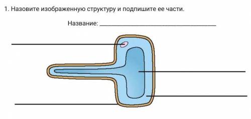 Назовите изображенную структуру и подпишите ее части. Название: ​