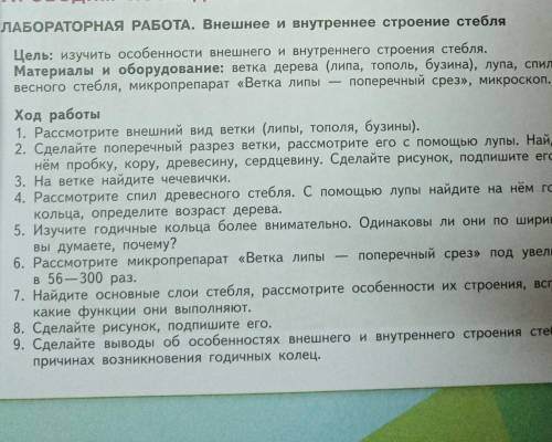 с выводом Сделайте вывод об особенностях внешнего и внутреннего строения стебля и о причинах возник