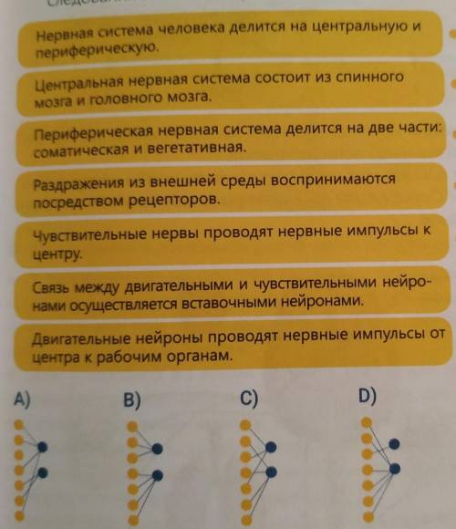 1 анотомия2 физиологиянайдите очень