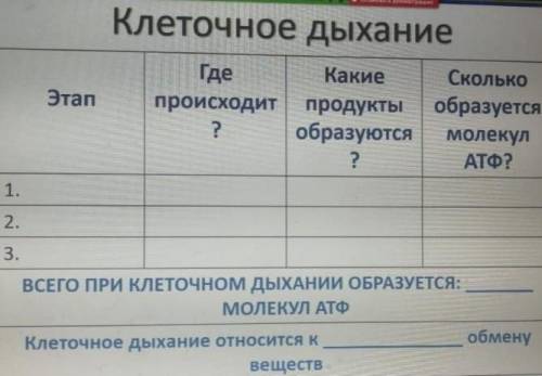 Хлппп Заполните таблицу и тд