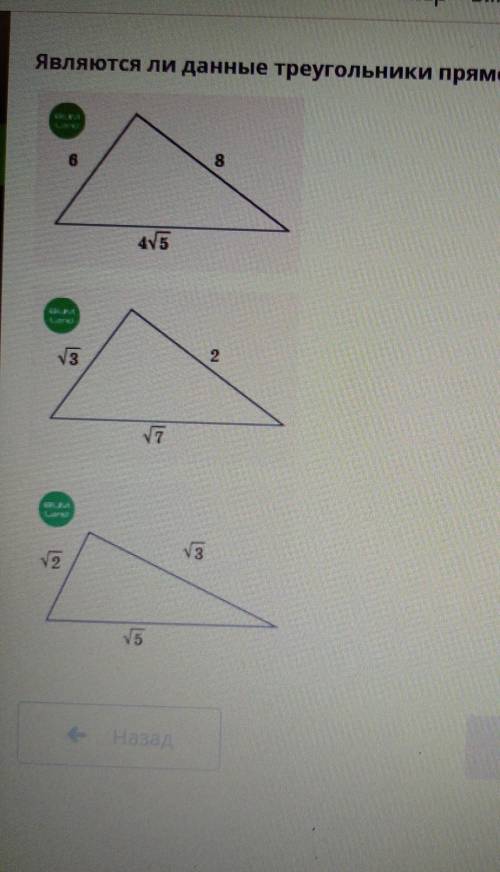 Являются ли данные треугольники прямоугольными?​