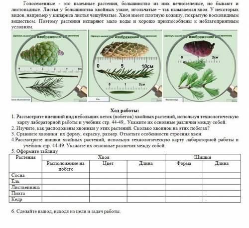 зделать лабораторную работу надо сегодня сдать, зарание