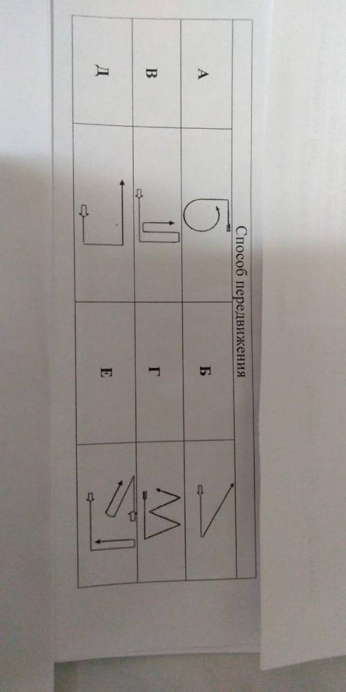 Какие передвижения по залу показаны на картинке? Это физра