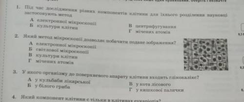 Дайте ответ на эти вопросы очень (20б.)​