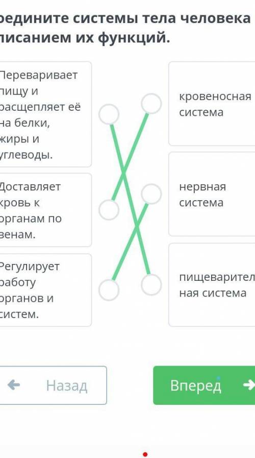 Соедините системы тела человека с описанием их функций. Переваривает пищу и расщепляет её на белки,