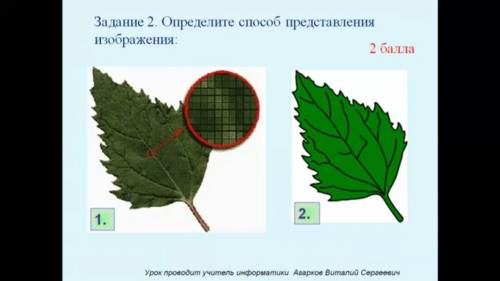 Определите представления изображения