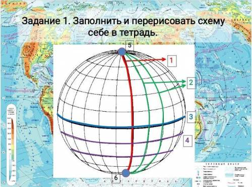 Можете обозначить выделенные объекты?