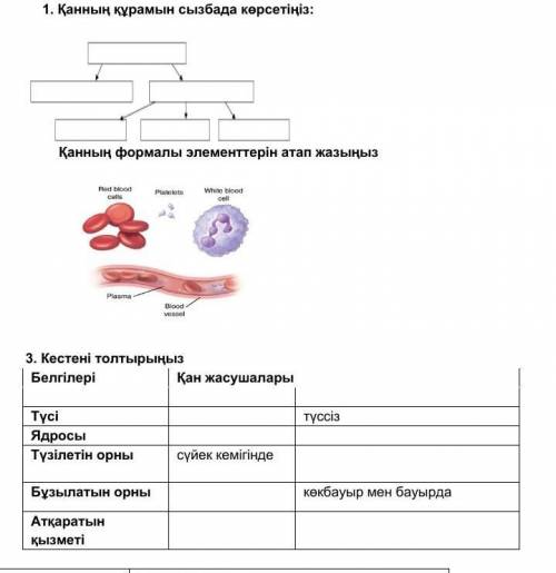 Тапсырманы орындап көмектесіп жыберындерш​