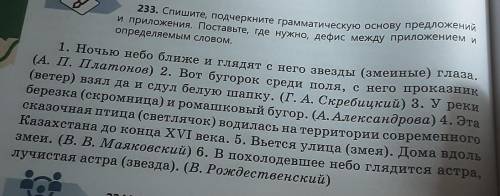 Спишите, подчеркните грамматическую основу предложений и приложения. поставьте, где нужно, дефис меж