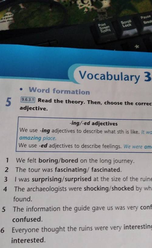 Read the theory . then, choose the correct adjective​