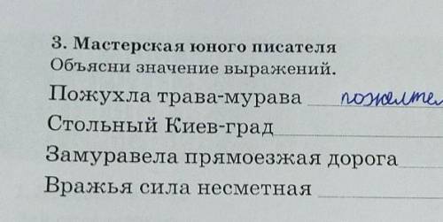 3. Мастерская юного писателя Объясни значение выражений.Пожухла трава-мураваnosnelСтольный Киев-град