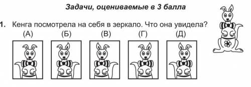 Кенга посмотрела на себя в зеркала что она увидела​