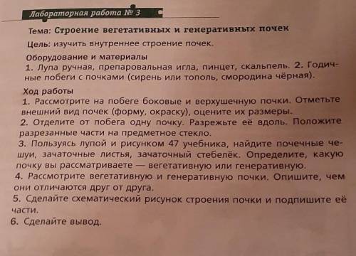 Лабараторная работа номер 3 Тема :строение вегетативных и генеративных почек (сделайте все номера, и