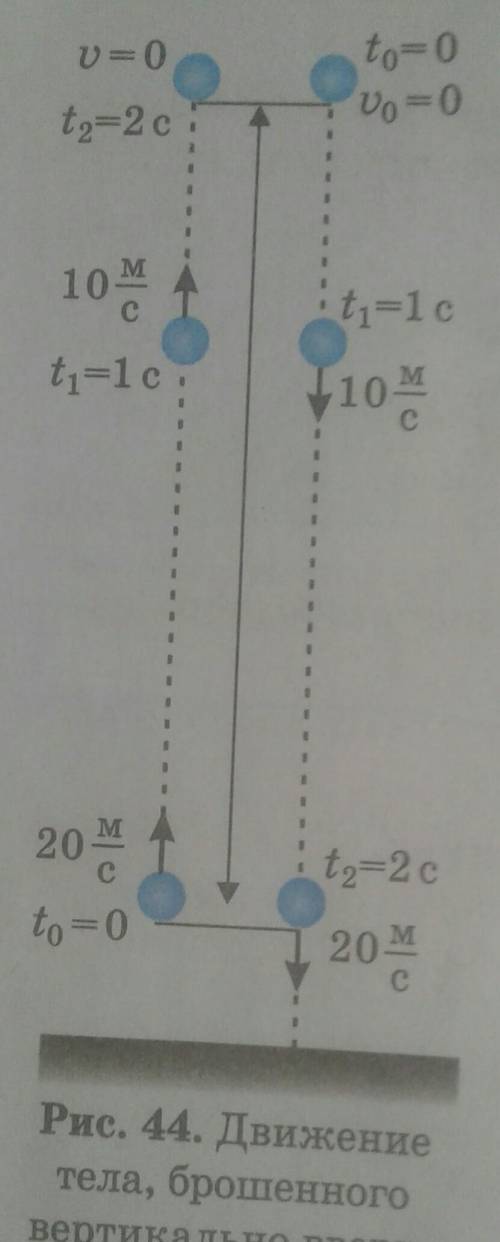Объясните на рисунке 44 движение тела брошенного вертикально вверх​