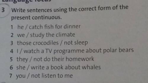 Write sentences using the correct form of the present continuous​