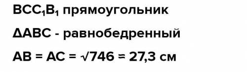 Проведены две прямые перпендикулярно плоскости α. Длина отрезка KN= 42,5 cm, длина отрезка LM= 27,5