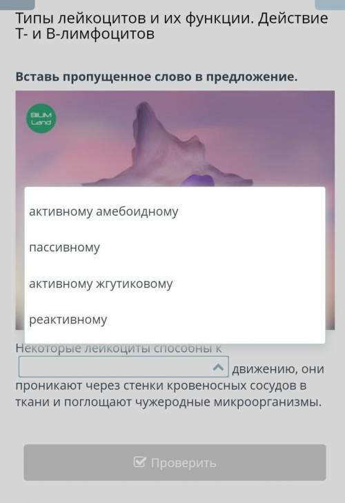 Вставь пропущенное слово в предложение.​