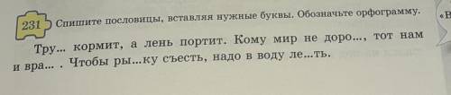 Спишите пословицы, вставляя нудные буквы.Обозночьте орфограмму​