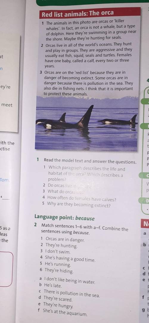 1.Read the model text and answer the questions 2.Match sentences 1-6 with a-f.Combine the sentences