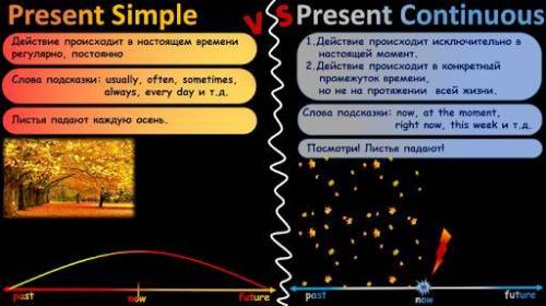 НУЖЕН ОТВЕТ Задание:Put the verbs into the Present Simple or the Present Continuous. 5.Kate his roo