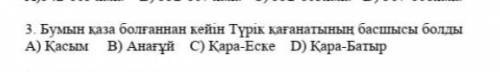 Бумын каза болганнан кейын турик кганатыннын басшысы ким болды