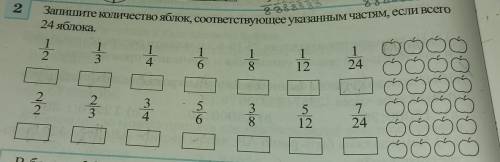 Запишите количество яблок, соответствующее указанным частям, если всего 24 яблока.​