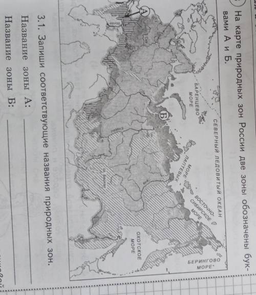 На карте природных зон России две зоны обозначены буквами А и Б. НАЗВАНИЕ ЭТИХ ПРИРОДНЫХ ЗОН