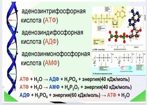 Опишите процессы происходящие на данном слайде:​