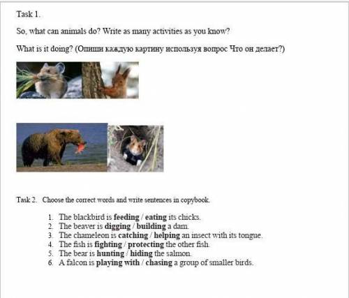 Task 1. So, what can animals do? Write as many activities as you know?What is it doing? (Опиши кажду