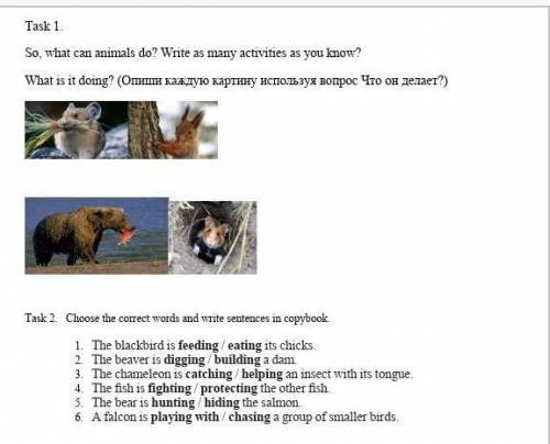 Task 1. So, what can animals do? Write as many activities as you know?What is it doing? (Опиши кажду