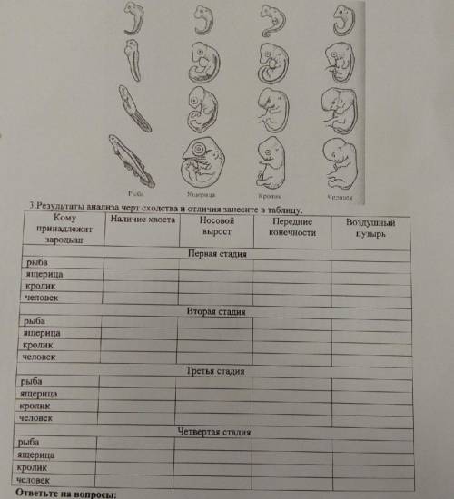 Заполните таблицу, просто +/-